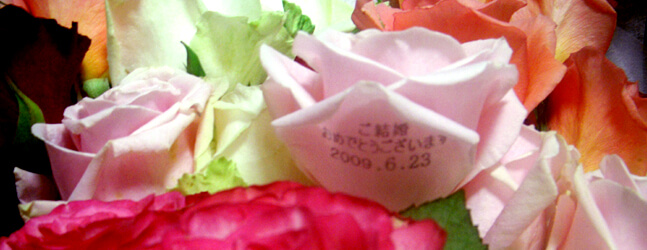 メッセージローズサプライズ