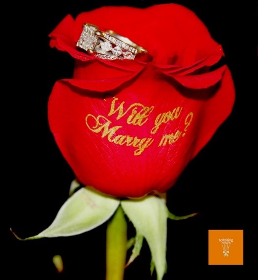 メッセージローズ